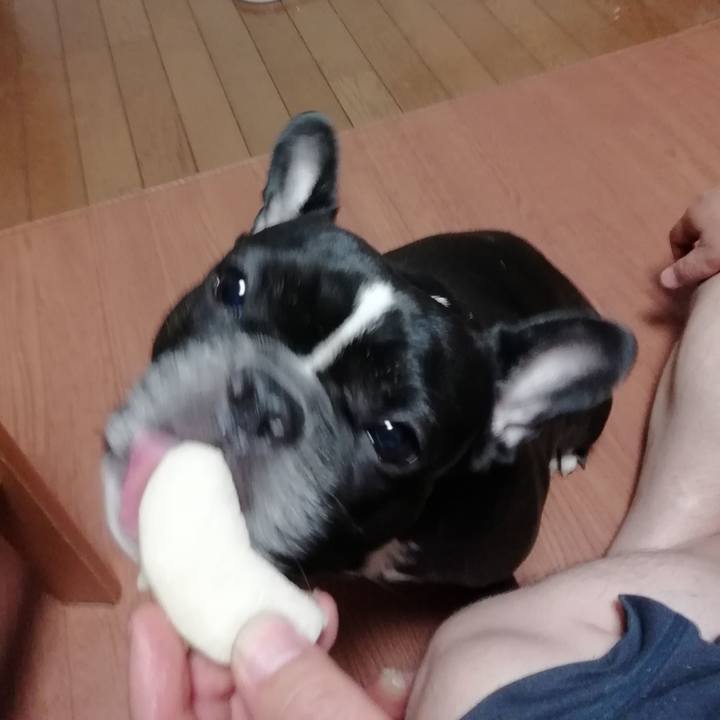 6e5ac110 4f17 41d0 b44c 4ea72280b7d3 1533127999638