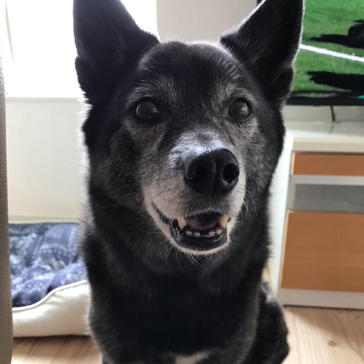 6e5acf1e f9be 4e5f 8861 238f0e8d9f06 1583239142153