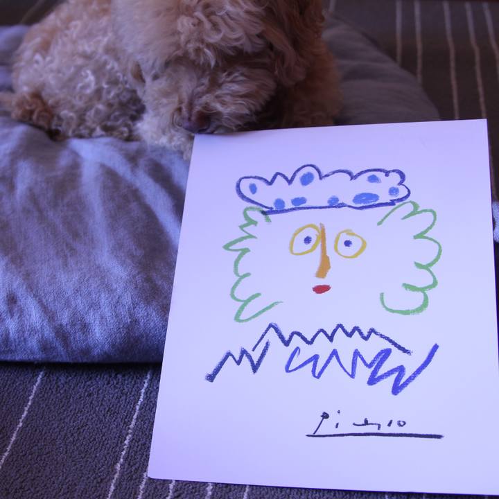 6e5ad34c ee48 4f77 838f 558d04cb746e 1508871527895