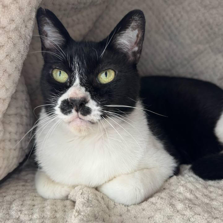 6e5af027 3541 4e43 9d5a 6f92daa19a5b 1749703813461