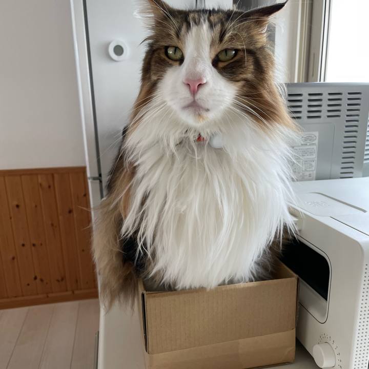 6e5b1ea0 6250 491d 9185 2c87f6f7282f 1683436540228