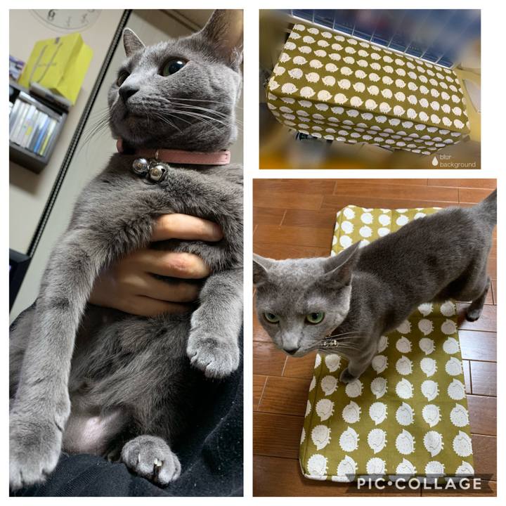 6e5b2eb1 43c1 42a0 bf0a 96c4a66ce3cf 1584099392288