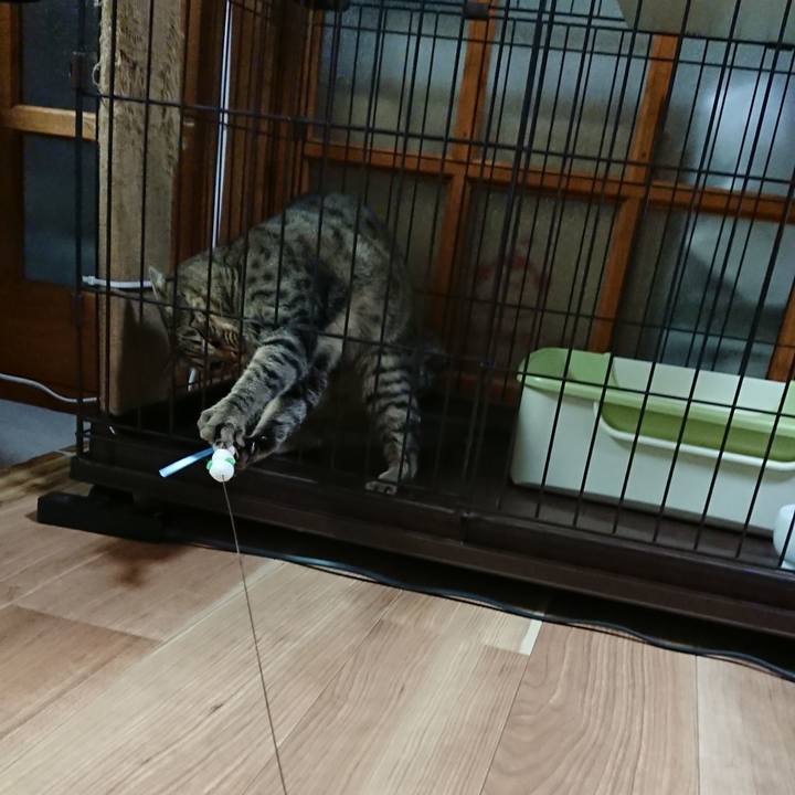 6e5b502d 7482 4b33 b947 67ca7d8a4d28 1519041826886