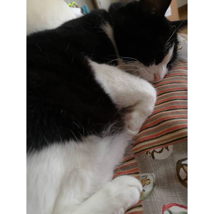 6e5b5ba5 417e 449c b006 dcf79ddebb0b 1628913439804