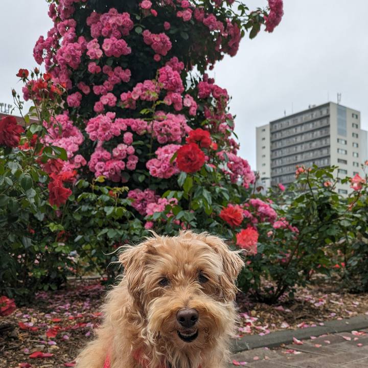 6e5b5d7a c5f9 4f7d a24c 3c94fe9bad65 1719109196017