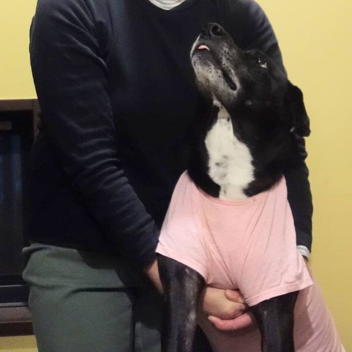 6e5b6466 a9e8 4707 9074 07cb7c0277f7 1702206411236