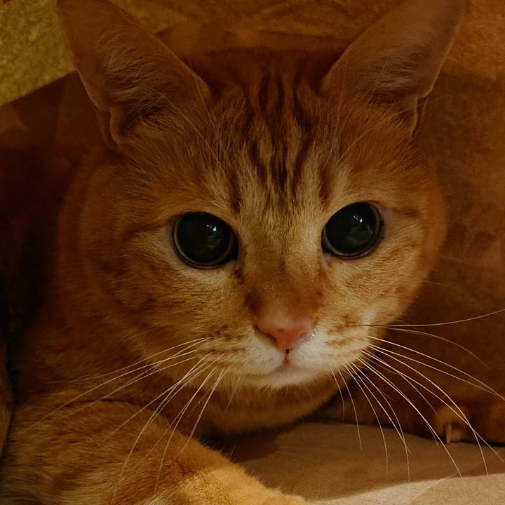 6e5b6827 4121 4494 88e6 84136b752a1a 1572696013306