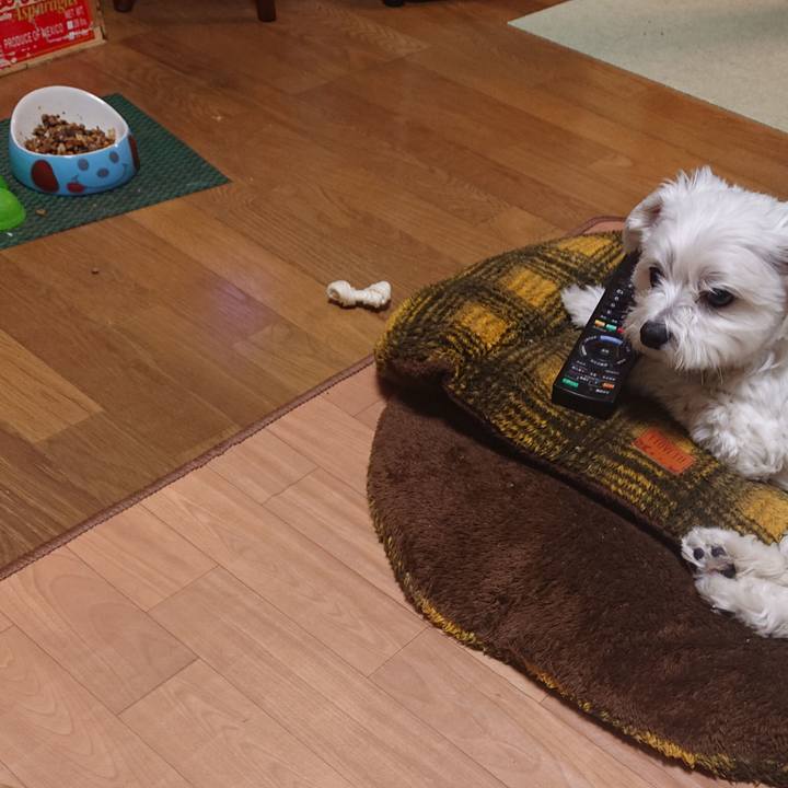 6e5bcd00 6062 42d5 9d33 60fd10f67aa2 1548417413325