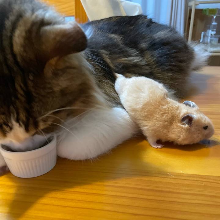 6e5c0ac4 33a3 4897 9250 edc286dbf709 1657915248898