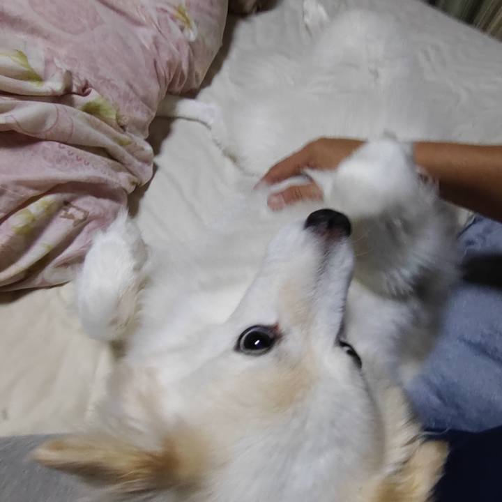 6e5c437f 5655 42dc 83ca 66017d071c68 1655199977176