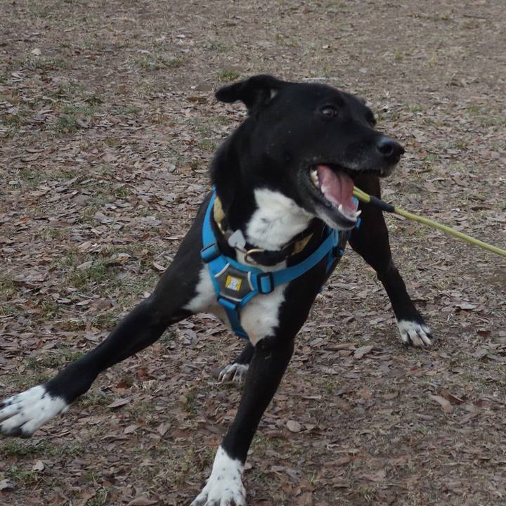 6e5c467d 05fa 4769 b9f1 26c96be4a24c 1611017095249