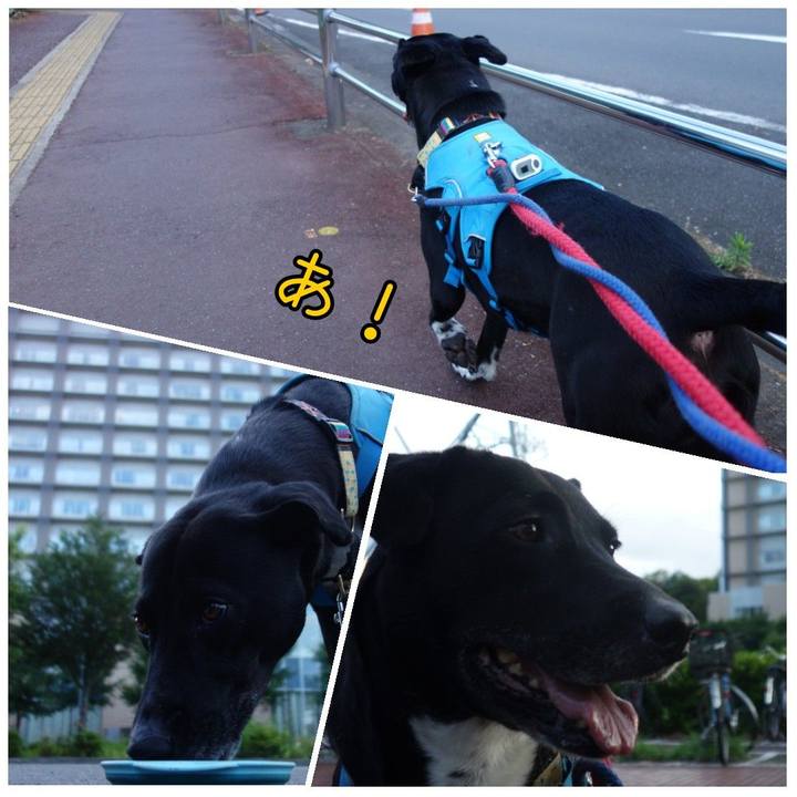 6e5c7b32 914e 4ed4 88ac e958d04c6029 1624528896803