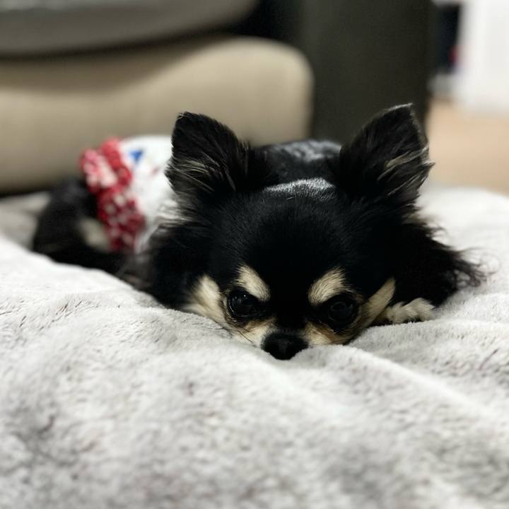 6e5c8335 e664 4d0c 877e 51884111348c 1709193178645