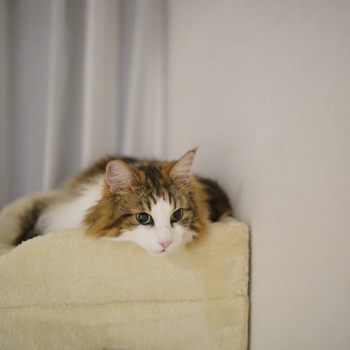 6e5c83a5 84aa 424d b96d 73b221273c36 1695724406483