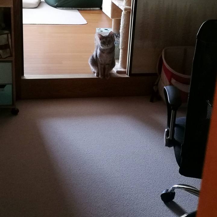 6e5caf94 7750 420c 961f 0144792e7b39 1535171402386