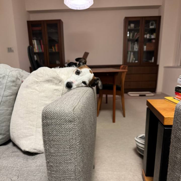 6e5cf714 4f67 45e8 b156 3885ad59b0c8 1768959348927