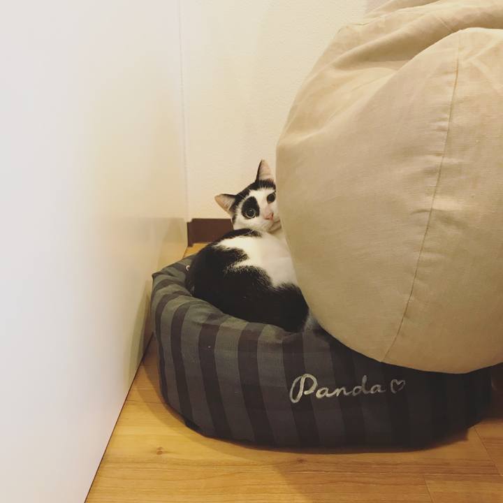 6e5d0069 0fa9 4519 991d 18887cee3d3f 1537873433375