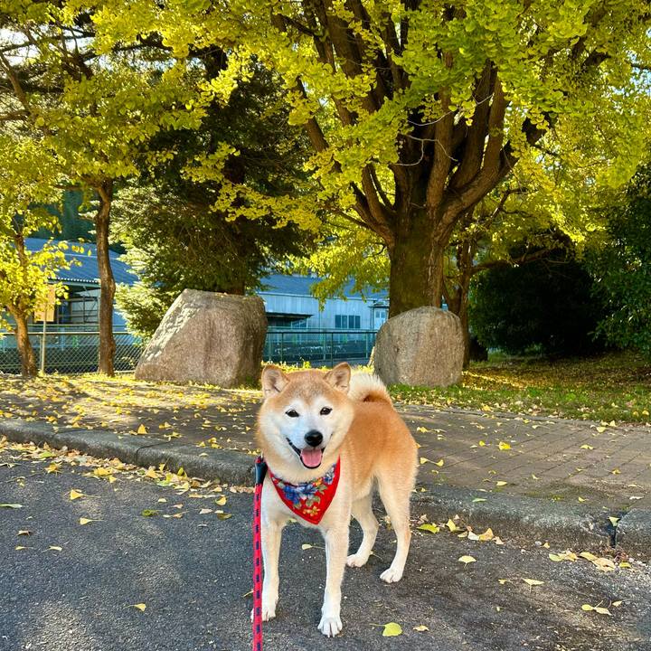 6e5d88c4 015e 4dda 84d0 6bcaf754287a 1731667060096