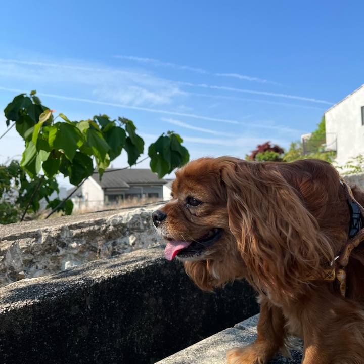 6e5dbf6f 8339 4cb9 b473 3abcdaac9f81 1651709459928