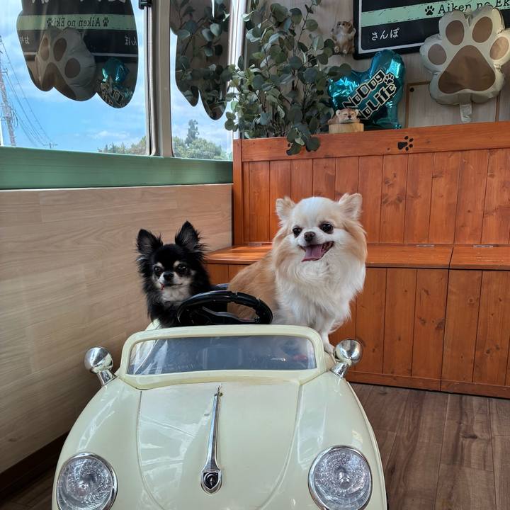 6e5dc688 78d2 498c a770 7f661fd73ae3 1763808571709