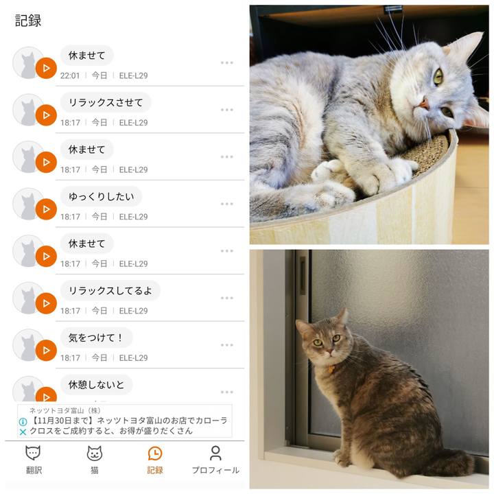 6e5deb10 7eb7 4ca2 92e5 f3575b0e4dfb 1633492044223