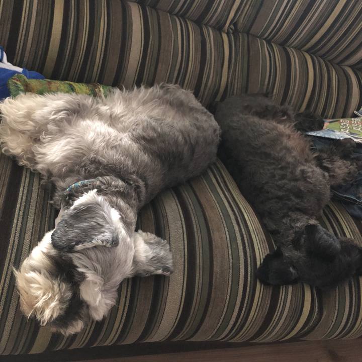 6e5deb26 b87b 42b9 863b 8a60f15bbb63 1533959469288