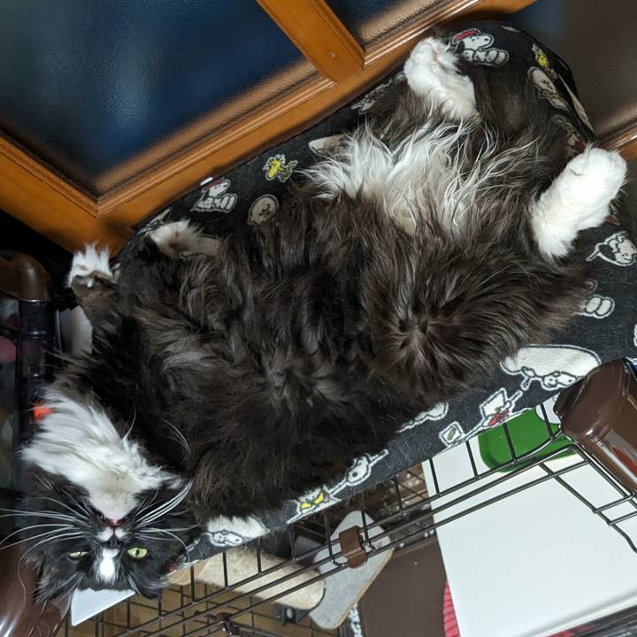 6e5dfc28 0d9f 4fff a295 de7e889e446e 1716709849087