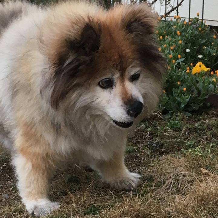 6e5e6976 8153 47c3 8479 3e0fdb877526 1573607417460