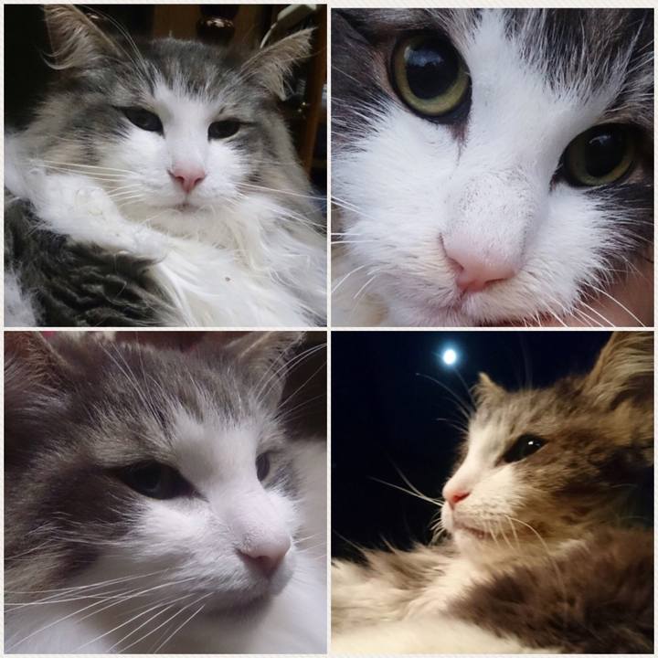 6e5e6db4 e0b8 43e4 b7ff 85bb9c014f34 1510238034621