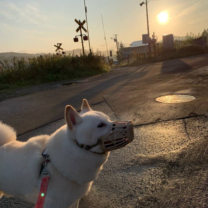 6e5e754b 352b 4a8b a23b 86ff02cf6d89 1600897100733