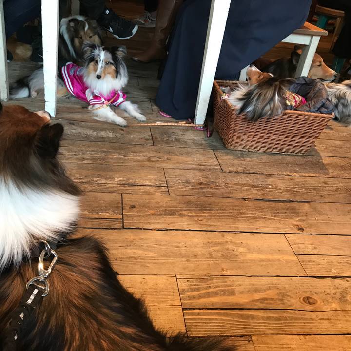 6e5e75d3 0c4e 4d02 b514 de3d7e488ca2 1552123260913