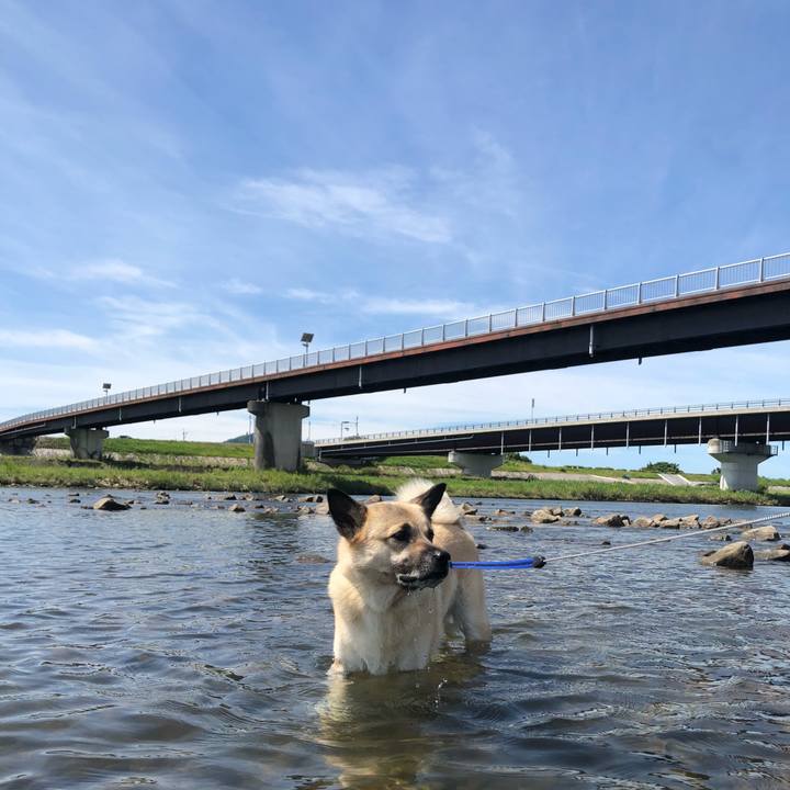 6e5ef08c 52a4 4ef8 8333 53f7f490cd71 1627118284760