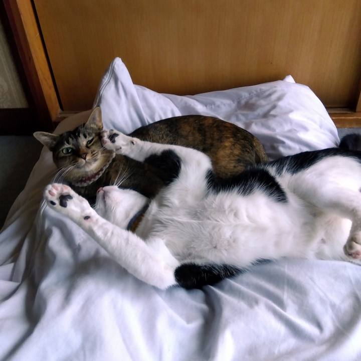 6e5f1a0e 4db9 412d a248 51c49ee4d17b 1650934673855