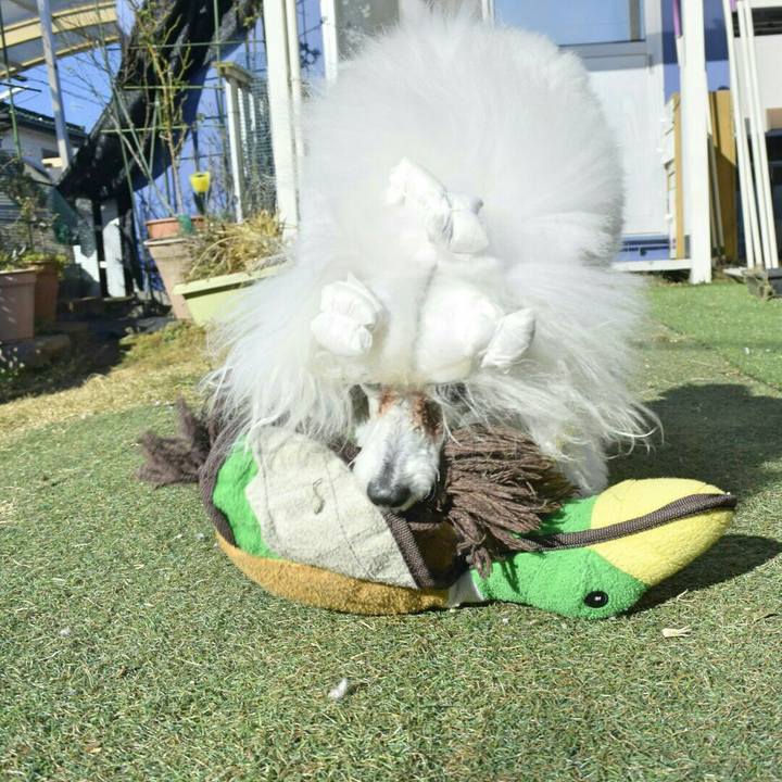 6e5f3a24 4e5e 4e6f afab 6e2e98aae65e 1515723501629