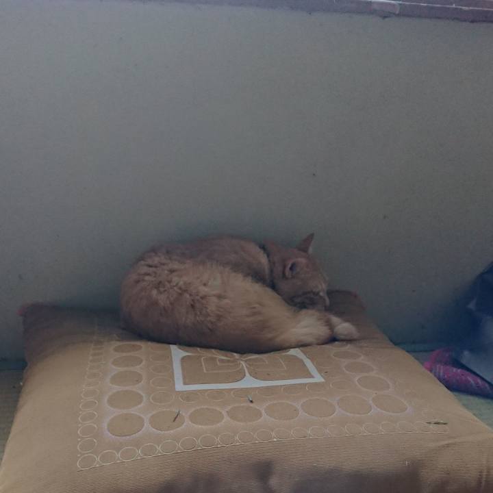 6e5f940c 50cd 4c05 9b3f 7a9aefb324b1 1662247294451