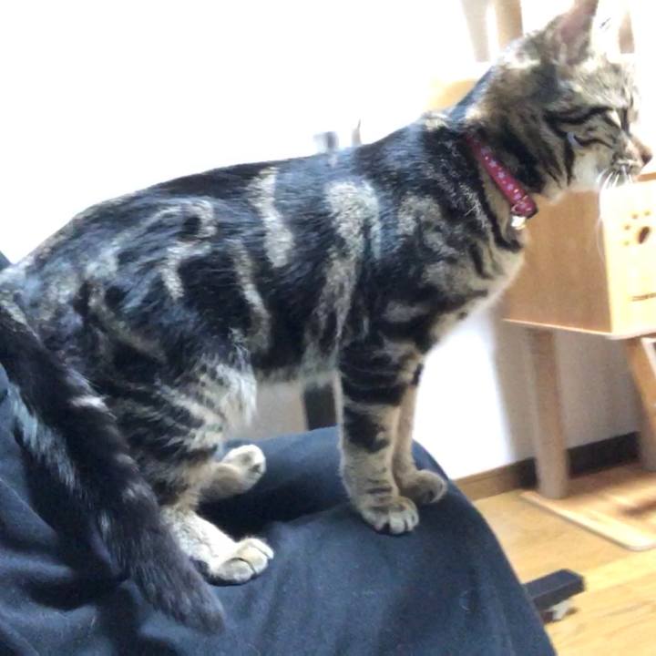 6e5fd982 e47d 45c9 843c c578859eeadc 1742302240612