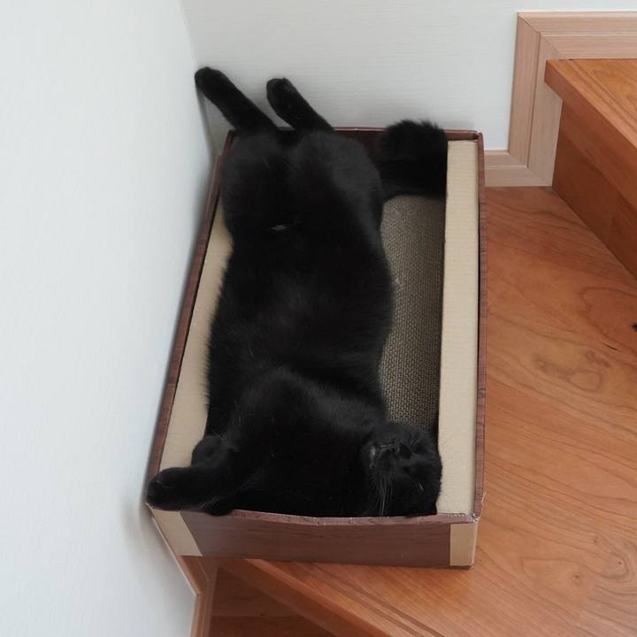 6e5fed33 c667 4bec ba82 c7b5ef027a6a 1597654635719