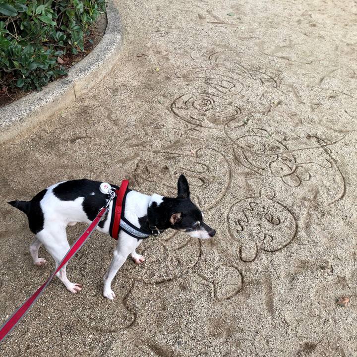 6e600d29 b6cf 45bd 8855 925284ffe7ce 1563231909219