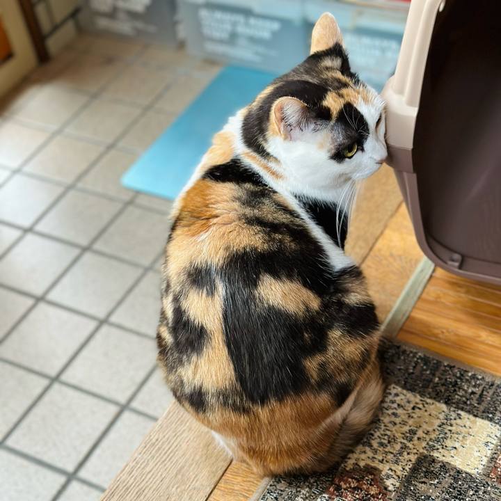 6e603896 2812 4b85 94ca b8d6a4988e3b 1671156618103