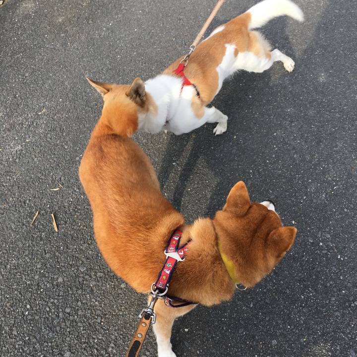 6e603d82 e600 4758 8a0b 6e52714fe342 1512810630968