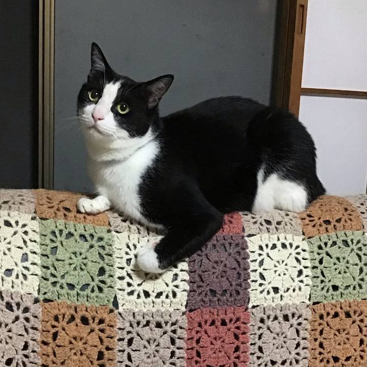 6e605d24 f624 4dbe 96e3 6102591231c2 1718281822727