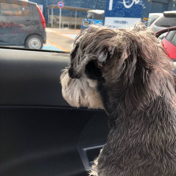 6e606e81 98e9 4047 83dd 2ea6e85295ca 1643514384838