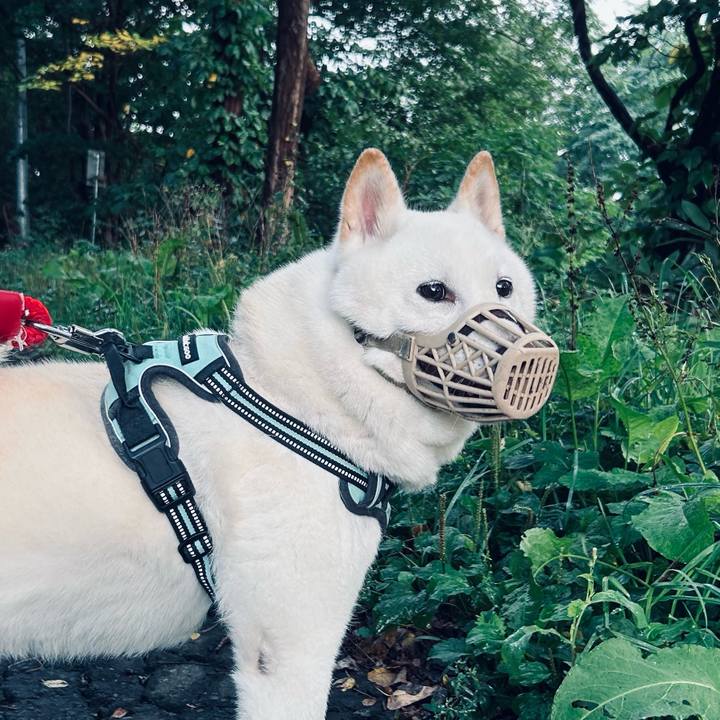 6e6096ba 5c90 435b 898f 76499d8a3d31 1695072130940