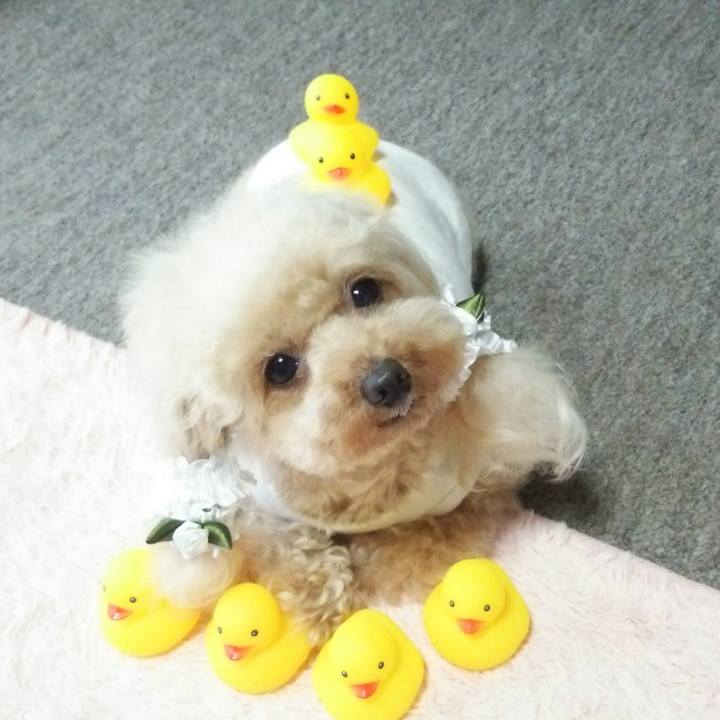 6e60a41d c120 4abf 9b43 7c2b1b5eadc0 1562410117031