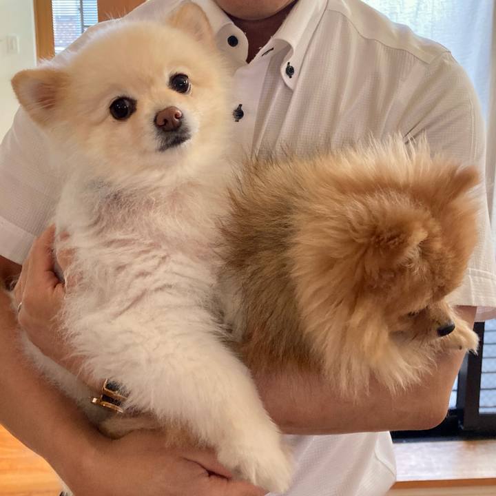 6e6106b2 74c9 462d 8e60 7dda4b154348 1656319018303