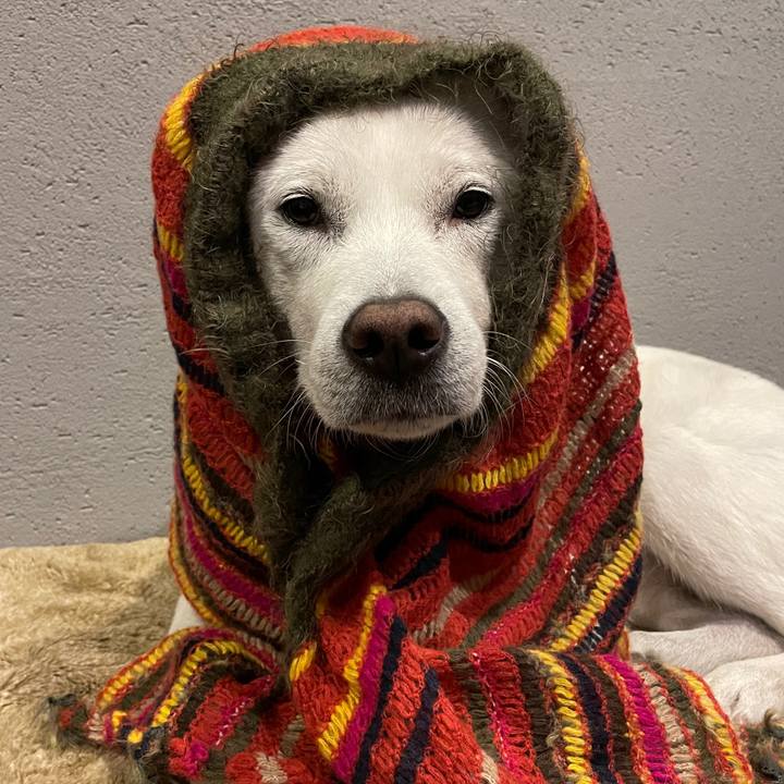 6e611ef2 6af7 4a3d b175 d4fd1df0da8b 1608287229689