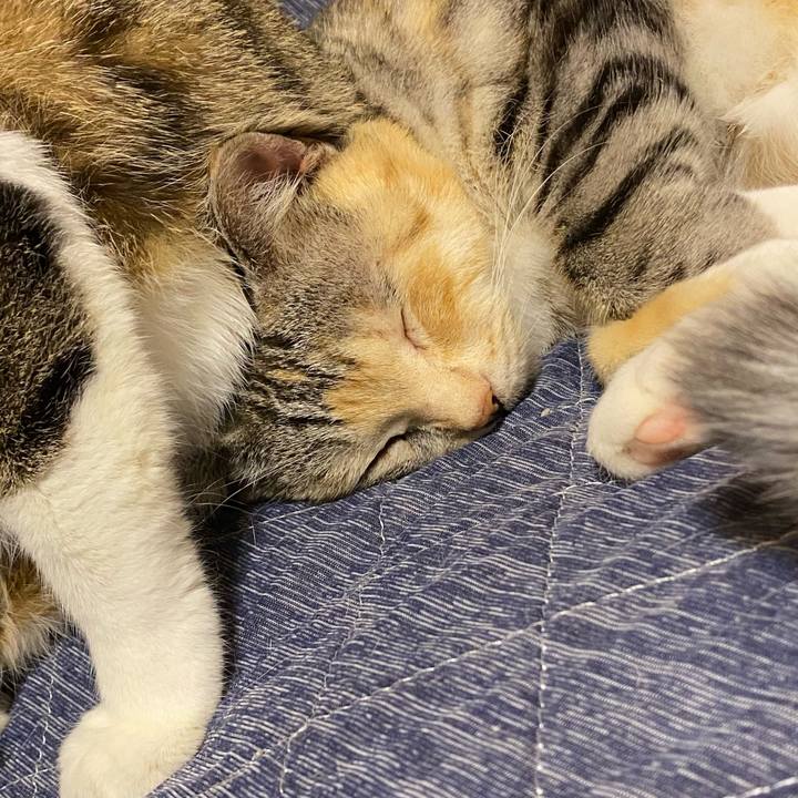 6e611ef7 a6dd 48d7 b761 99175f826598 1620476520326