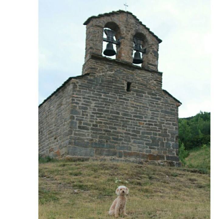 6e612429 9ffa 4f42 b13e 562c1d9f0712 1564670425000