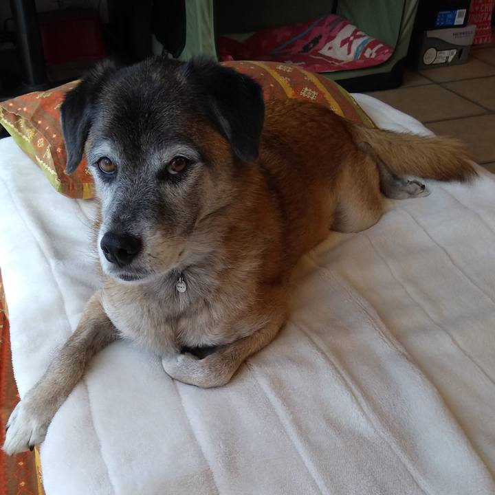 6e614113 13ea 409c b5e8 cf1ec44bcef1 1573253367406