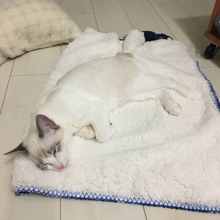 6e6153d5 2399 426f 9931 55d1f2d393fe 1511025116357